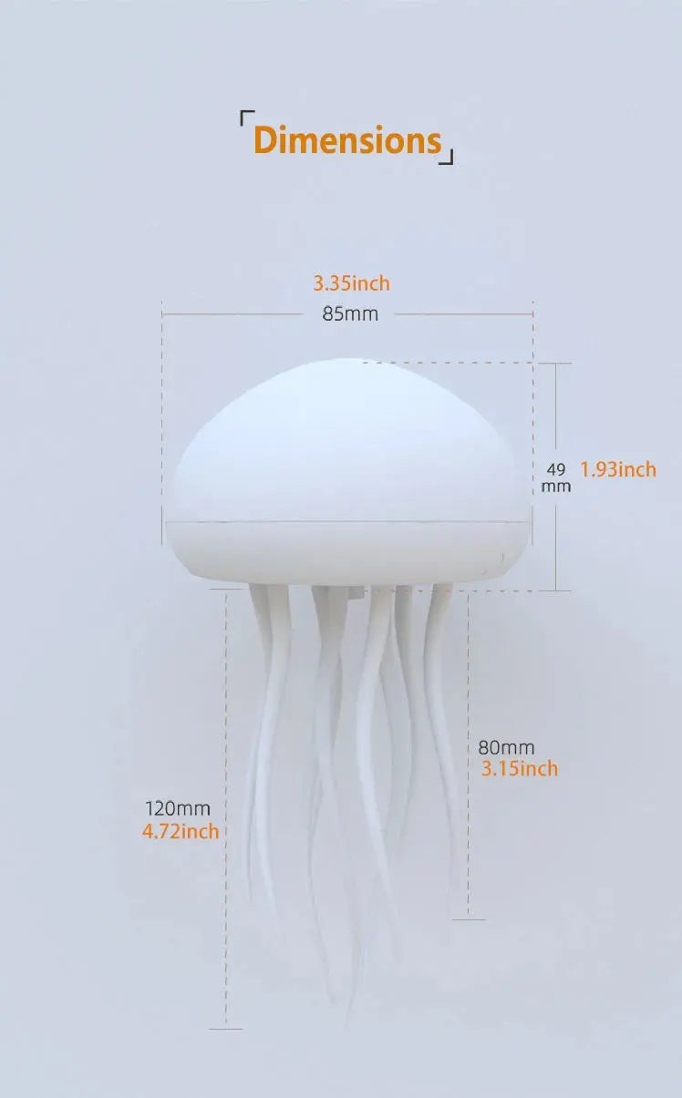 The Jellyfish